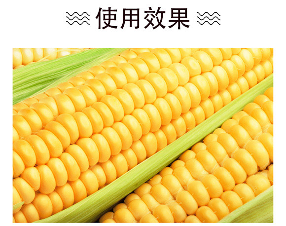 ����337-���׷N��-�п�����