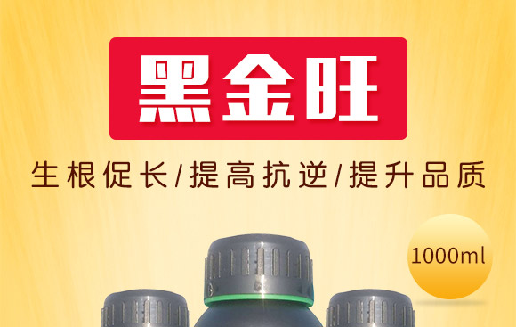 �VԴ�S���ᵪ��-�ڽ���-��(f��)������