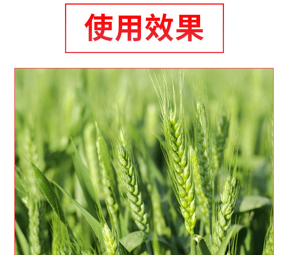 �VԴ�S���ᵪ��-�ڽ���-��(f��)������