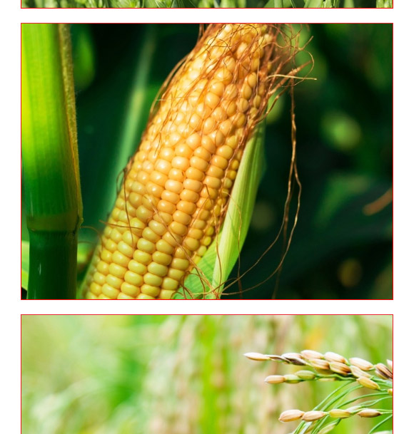 �VԴ�S���ᵪ��-�ڽ���-��(f��)������