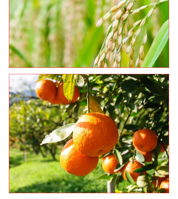 �VԴ�S���ᵪ��-�ڽ���-��(f��)������