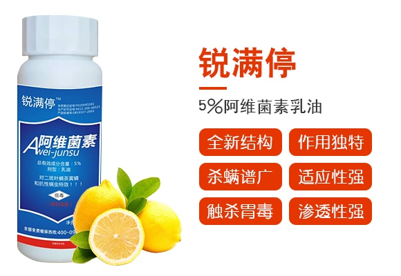 5%���S��������-�J�Mͣ-�Z������