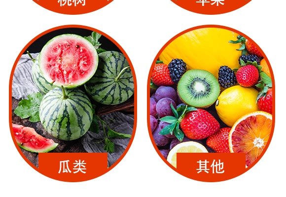 5%���S��������-�J�Mͣ-�Z������