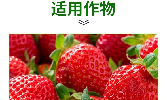 �VԴ�S����̼ø����-�S����-�V��ͨ