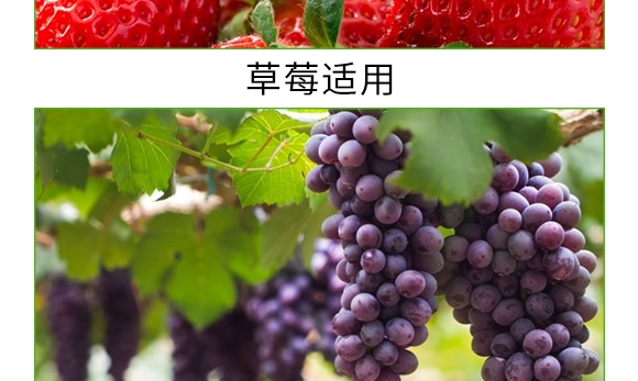 �VԴ�S����̼ø����-�S����-�V��ͨ