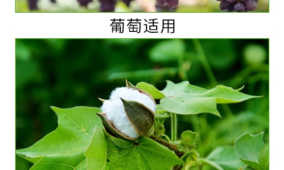 �VԴ�S����̼ø����-�S����-�V��ͨ