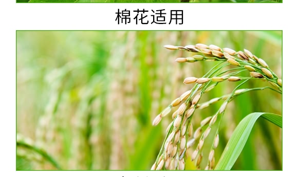 �VԴ�S����̼ø����-�S����-�V��ͨ