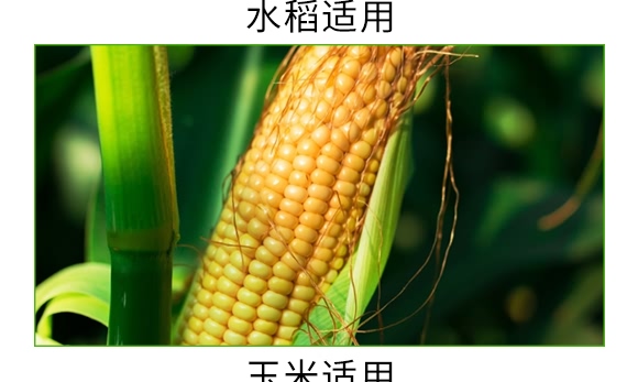 �VԴ�S����̼ø����-�S����-�V��ͨ