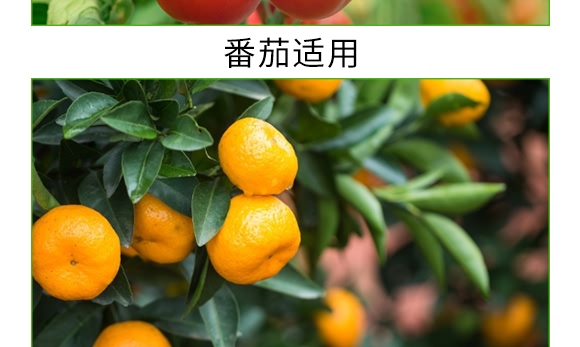 �������VԴ��ֳ���-̼��-�V��ͨ