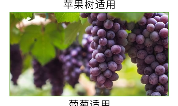 �������VԴ��ֳ���-̼��-�V��ͨ