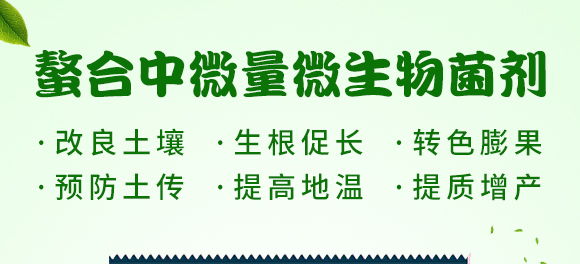 ������΢��΢�������-̼��-�V��ͨ