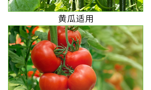 ������΢��΢�������-̼��-�V��ͨ