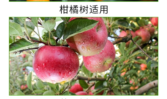 ������΢��΢�������-̼��-�V��ͨ