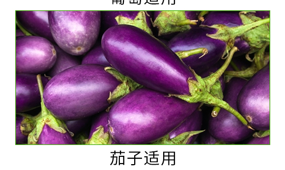 ������΢��΢�������-̼��-�V��ͨ