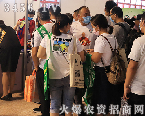 һ�݈�(zh��)����һ�݈�(ji��n)�������r(n��ng)�Y�W(w��ng)��Ӣ�����(sh��)���l(f��)����(zh��n)2020��ԭ���ϕ�(hu��)��