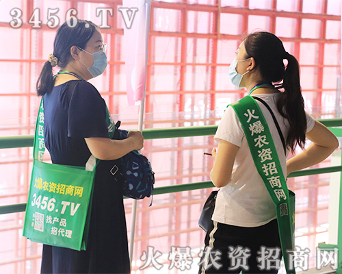 ���������������������r(n��ng)�Y�W(w��ng)2020��ԭ���ϕ���������w����