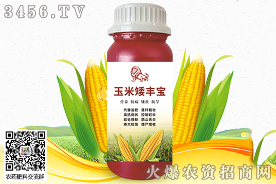 ����Ѿ��Ӱ푮a(ch��n)���� ����Ѿ�ӵ����費��Ҫ��