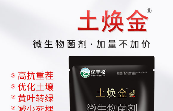 ΢�������-������-����̩