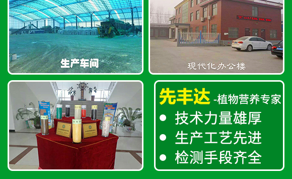 �����ЙC(j��)��-����8+2-���S�_(d��)