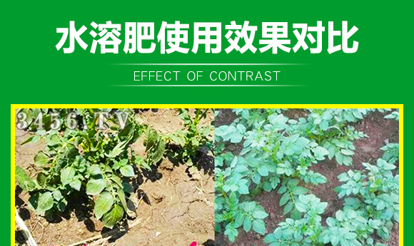 鍏堜赴杈懼啘涓氭湁闄愬叕鍙?_09.jpg 鍏堜赴杈懼啘涓氭湁闄愬叕鍙?_09.jpg