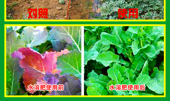 鍏堜赴杈懼啘涓氭湁闄愬叕鍙?0_11.jpg 鍏堜赴杈懼啘涓氭湁闄愬叕鍙?0_11.jpg