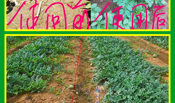 鍏堜赴杈懼啘涓氭湁闄愬叕鍙?2_10.jpg 鍏堜赴杈懼啘涓氭湁闄愬叕鍙?2_10.jpg