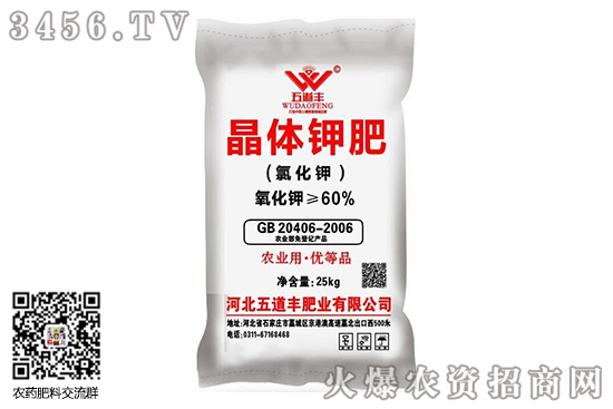 ⛷��Ј�(ch��ng)��(w��n)��С���ϝq��2020-8-8����⛷ʃr(ji��)�������(b��o)�r(ji��)