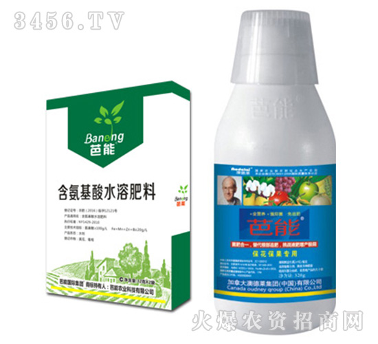 ����������ʲô�{(di��o)��(ji��)������