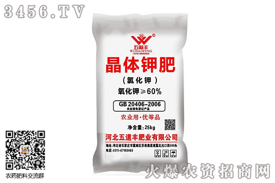 ⛷��Ј�����(w��n)��2020-9-8����⛷ʃr(ji��)�������߄�