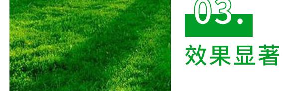 5g噁霉靈水分散粒劑-土紳-長雙農(nóng)藥 5g噁霉靈水分散粒劑-土紳-長雙農(nóng)藥