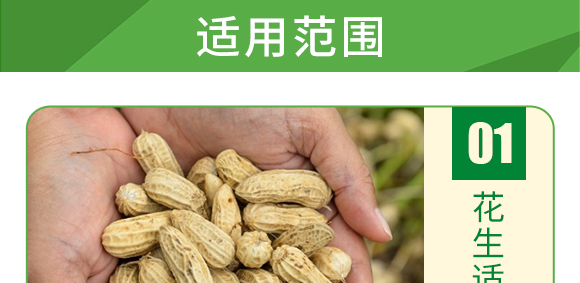 �Ǵ���-�~��΢�a(b��)-�°��~��