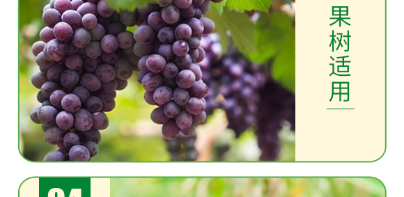 �Ǵ���-�~��΢�a(b��)-�°��~��