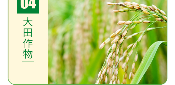 �Ǵ���-�~��΢�a(b��)-�°��~��