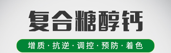 ��(f��)���Ǵ��}-�~�����a(b��)-�°��~��