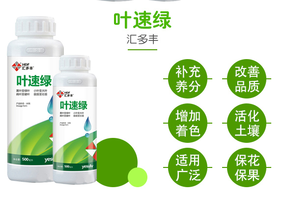 叉���绿-汇多丰_03.jpg