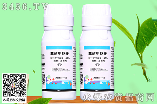 ���Ѽ׭h(hu��n)�����ʲô����