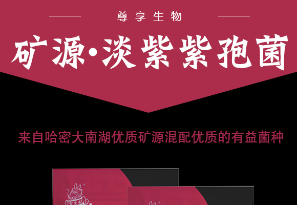 矿源·淡��紫孢�?矿源郎_01.jpg