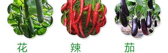 �����΢�������-��ķ��-��ķ˹��