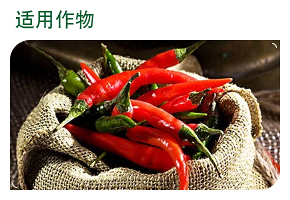 42%三氯异氰���K��-辣椒灵_04.jpg