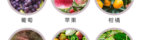 ΢�������-��(r��n)�S��̩-�S��̩