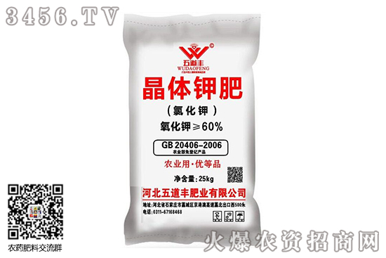 ⛷ʃr��(w��n)��������2020-9-21����⛷ʃr���r