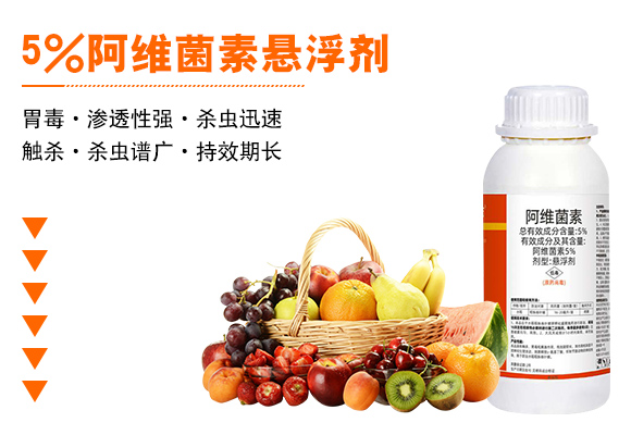 5%���S���ؑҸ���-���r����