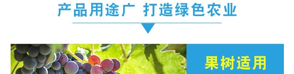 ������-��Ʒ����