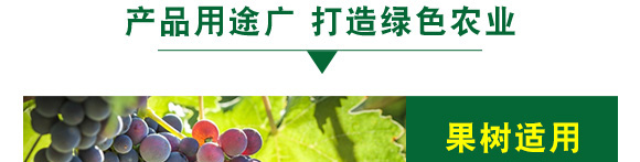 ʭ����-��Ʒ����