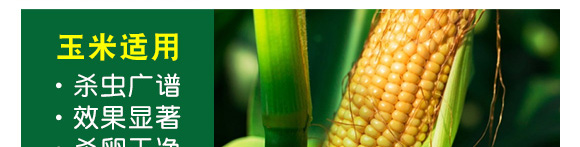 ʭ����-��Ʒ����