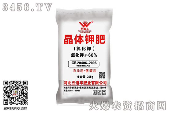 ���@��r��ͦ������2020-10-2����������@�r���rһ�[