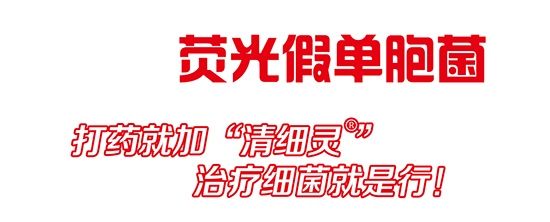 �ɹ�نμ�(x��)��-��(x��)�t-�r(n��ng)��