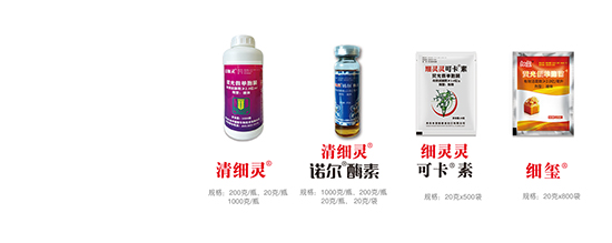 �ɹ�نμ�(x��)��-��(x��)�t-�r(n��ng)��