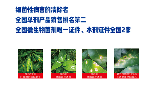 �ɹ�نμ�(x��)��-��(x��)�t-�r(n��ng)��