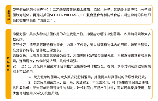 �ɹ�نμ�(x��)��-��(x��)�t-�r(n��ng)��